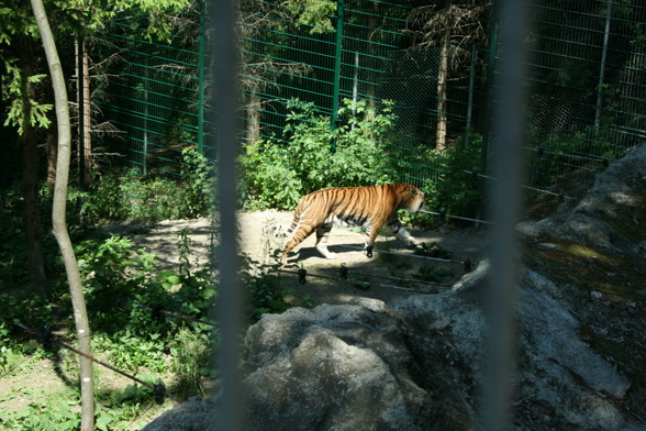 Tierpark Schmieding - 