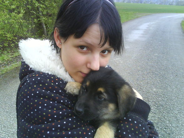 *~* Vo MeiiM sChaTzii & MiiR da HuNd *~* - 