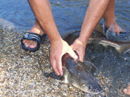 nochtfischen beim hofa am teich - 