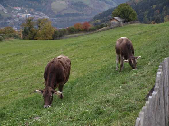 Südtirol Okt.07 - 