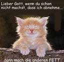 katzen würden wiskas kaufen!!!!!*gg - 