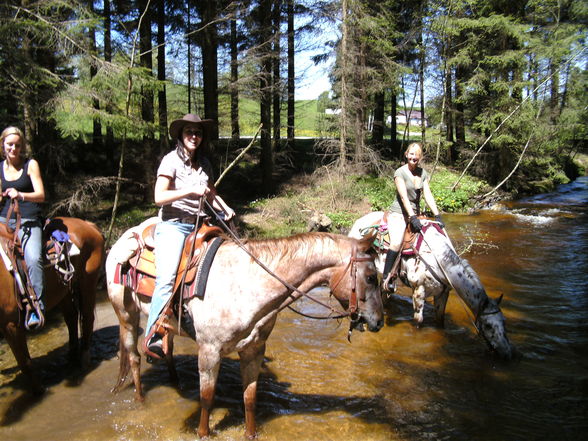 Pferdemädchen - 