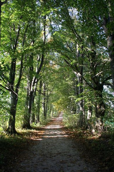 HerbstAllerlei :) - 