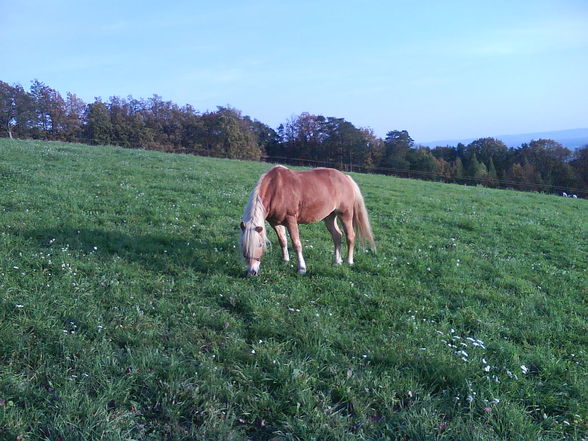 Eiinen Tag bei cLaidschiis opa.. - 