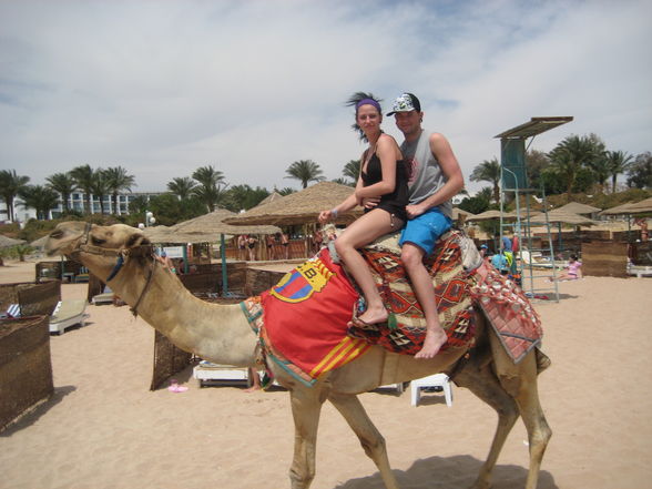 urlaub hurghada - 