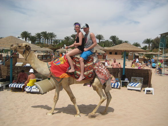 urlaub hurghada - 