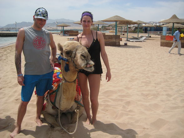 urlaub hurghada - 