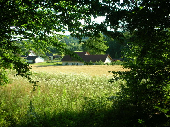 Bergenwirt Olbendorf - 