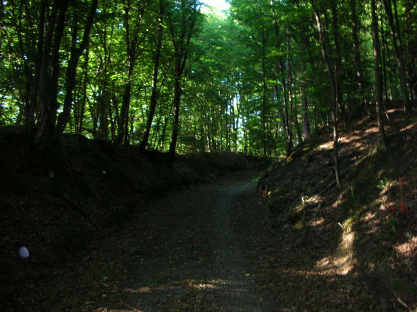 Bergenwirt Olbendorf - 