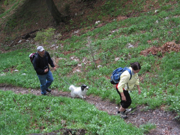 Wanderung auf die Kremsmauer 12.5.2007 - 