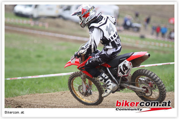 strengberg 2010 - 