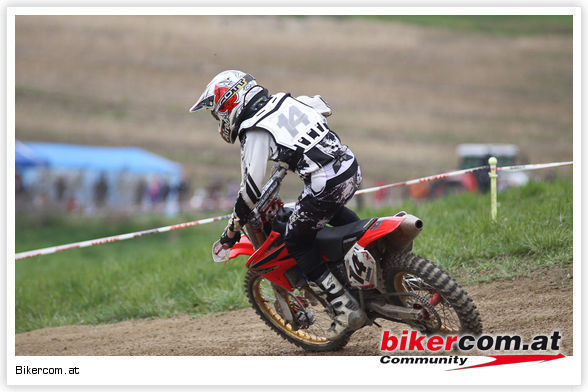 strengberg 2010 - 