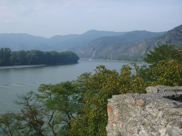 WACHAU - 