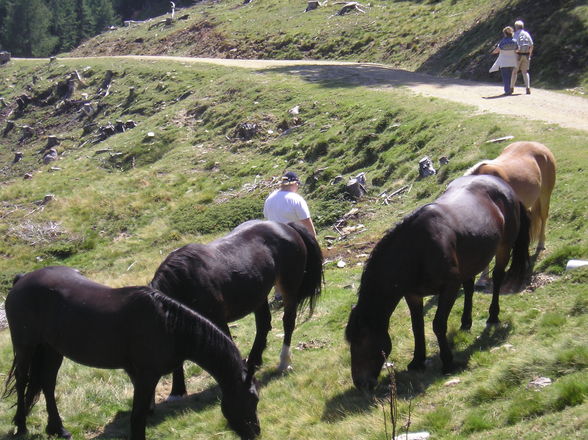 Urlaub in Kärten 07 - 