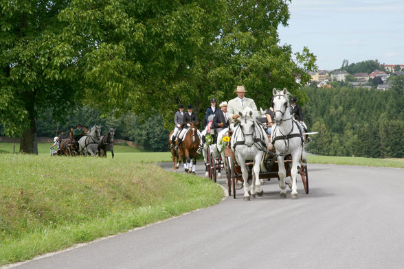 Unsere Hochzeit 07.07.2007 - 