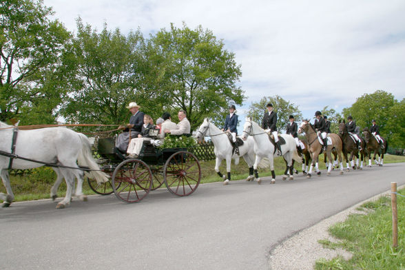 Unsere Hochzeit 07.07.2007 - 