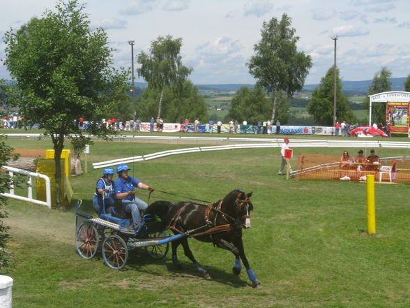 CAI Altenfelden - 