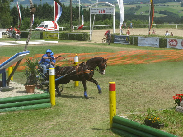 CAI Altenfelden - 