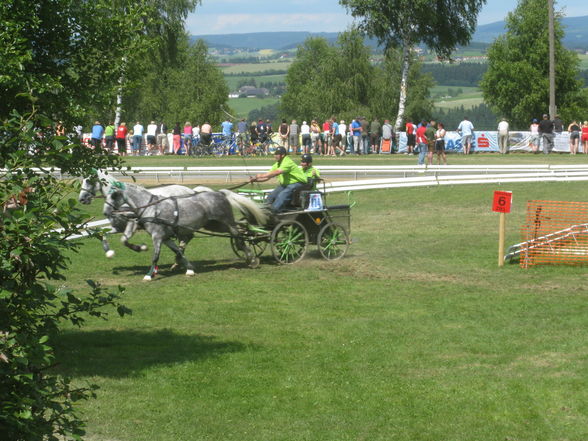 CAI Altenfelden - 