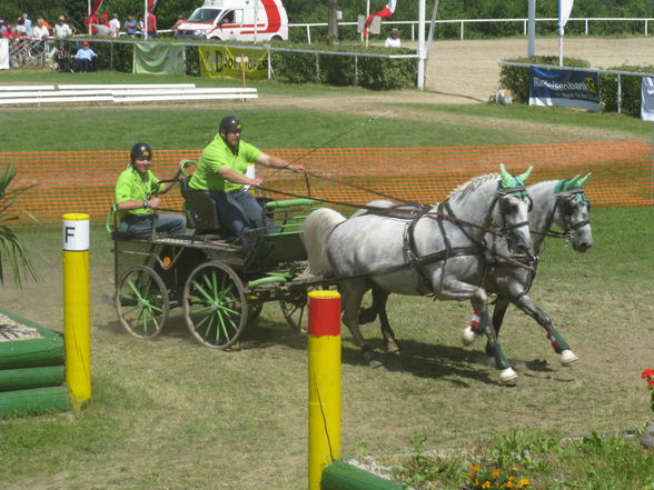 CAI Altenfelden - 