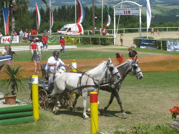 CAI Altenfelden - 