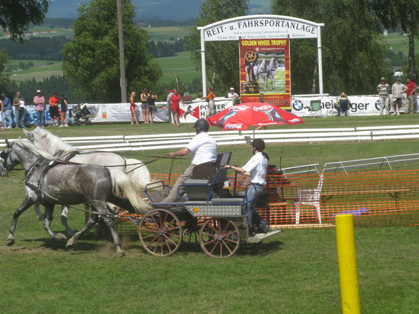 CAI Altenfelden - 