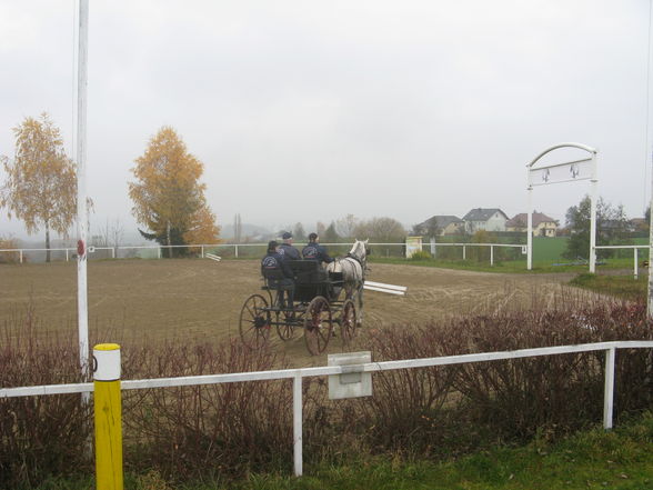 Vereinsmeisterschaft Fahren 8.11.2008 - 