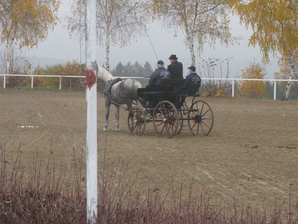 Vereinsmeisterschaft Fahren 8.11.2008 - 