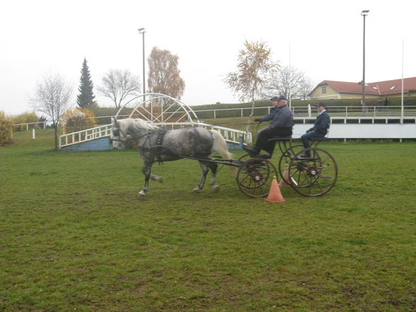 Vereinsmeisterschaft Fahren 8.11.2008 - 