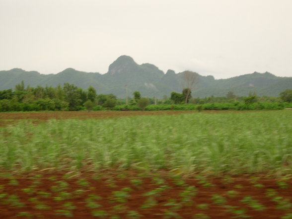 a bit of Geography III - THAILAND 2005 - 