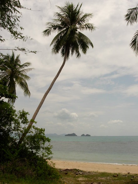 a bit of Geography III - THAILAND 2005 - 