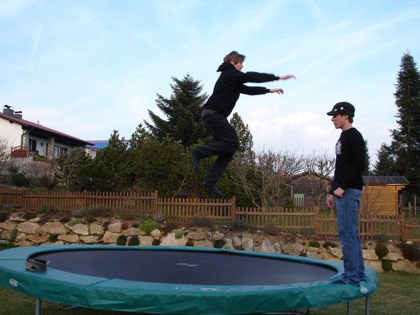 Trampolinspringa - 