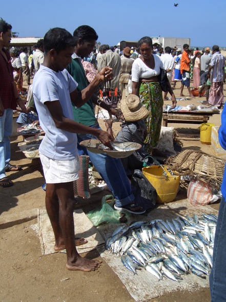 Sri - Lanka Tsunami  - 