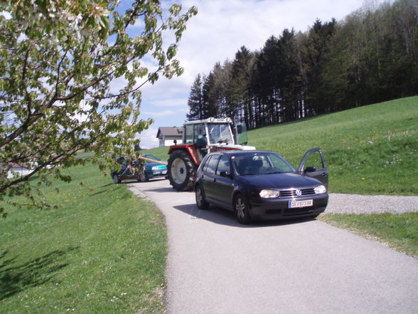 Maibaum-Rückholaktion Ertl - 