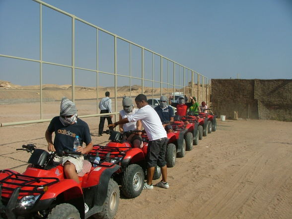 Urlaub Ägypten 2008 - 