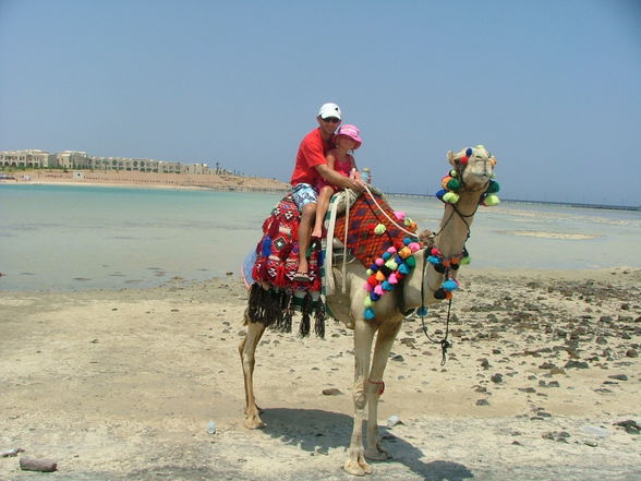 Urlaub Ägypten 2008 - 