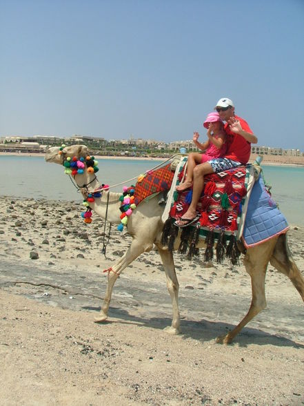 Urlaub Ägypten 2008 - 