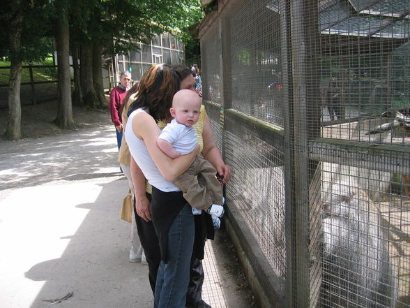 Tierpark Haag! - 