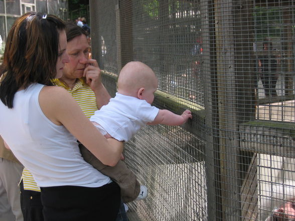 Tierpark Haag! - 