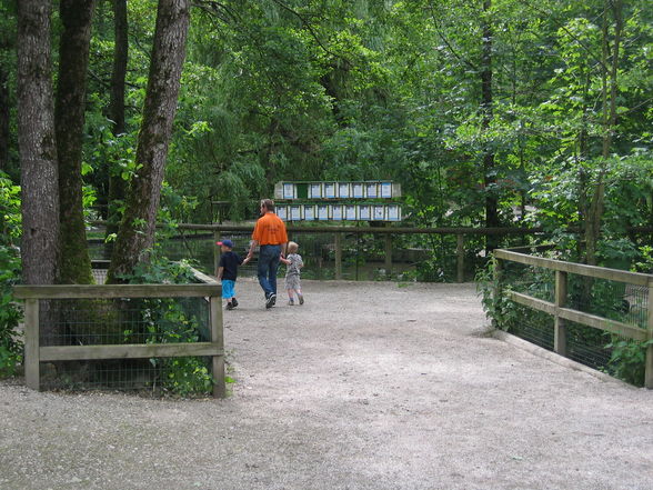 Tierpark Haag! - 