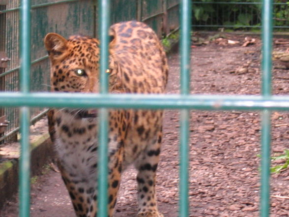 Tierpark Haag! - 