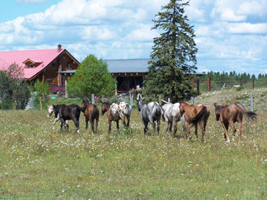 Canada - Sommer 2005 - Teil 1 - 