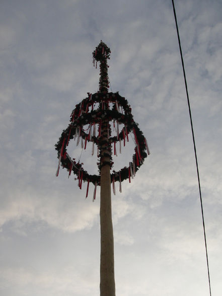 Maibaum zurückgeben - 