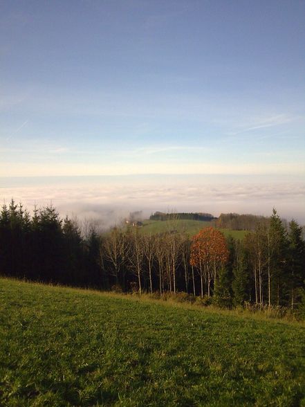 Nebelflucht nach Oberschlierbach - 