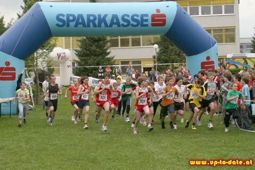 Lauf in Steinerkirchen - 