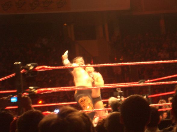 Wrestlemania Revenge Tour Linz 2008 - 