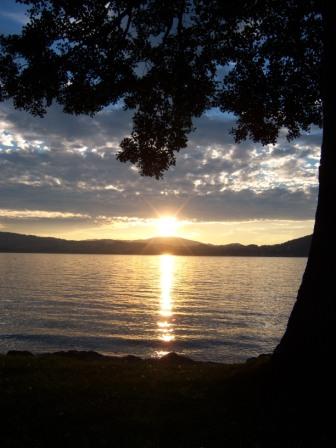 Urlaub am Attersee - 