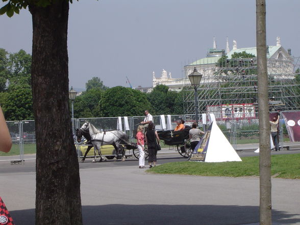 ein Tag in Wien  - 