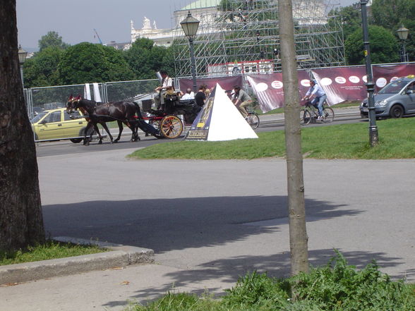 ein Tag in Wien  - 