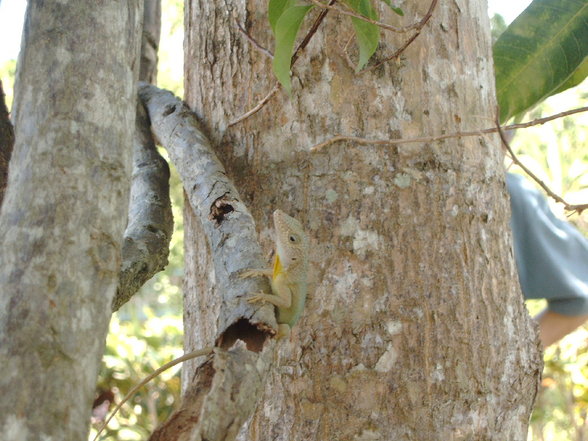 Jamaica September '03 - 